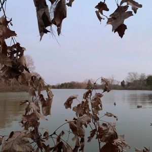 Meet your Posher, Noah